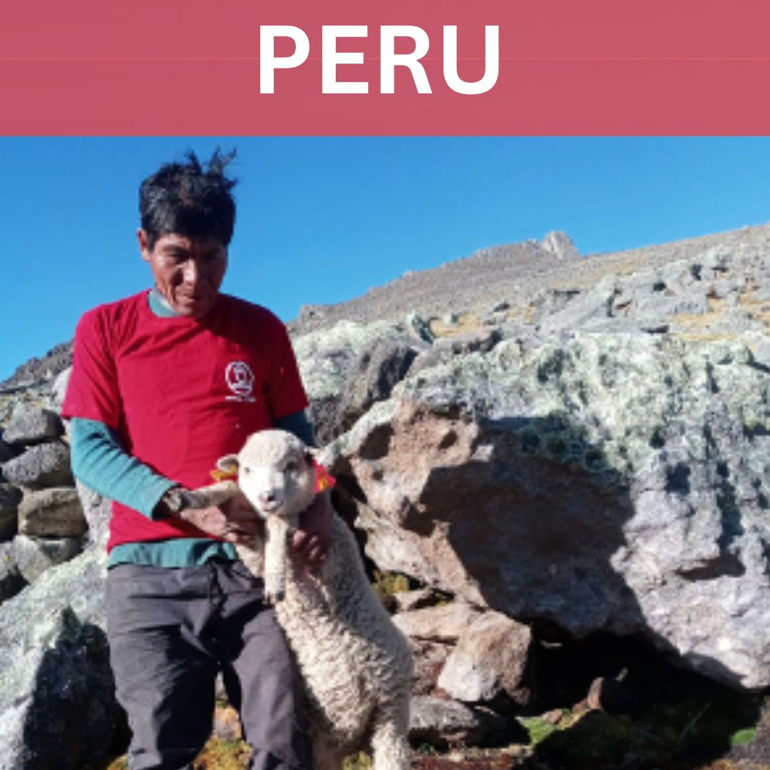 ACORN Peru Engages Communities on Values and Livelihood Support in San Juan and the Andes
