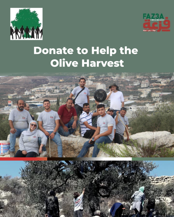 Donate to the Olive Harvest
